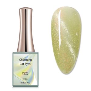 CANNI 16ml Charming Cat Eye Series Gel Polish Need UV Lamp To Cure UV Gel Polish