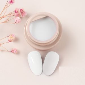 Gdcoco 5Ml 6 Colors Set Sakura Series Uv Gel Polish Function Gel Paint Glamour Color Painting Gel Need Uv Lamp To Cure Uv Gel Polish (Brush Not Included)