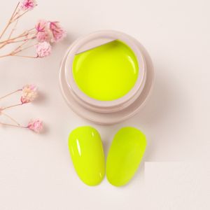 Gdcoco 5Ml 6 Colors Set Neon Series Uv Gel Polish Function Gel Paint Glamour Color Painting Gel Need Uv Lamp To Cure Uv Gel Polish (Brush Not Included)